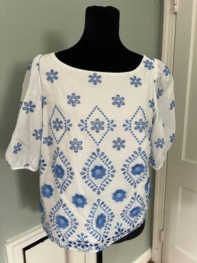 Ann Taylor beautiful like new blouse